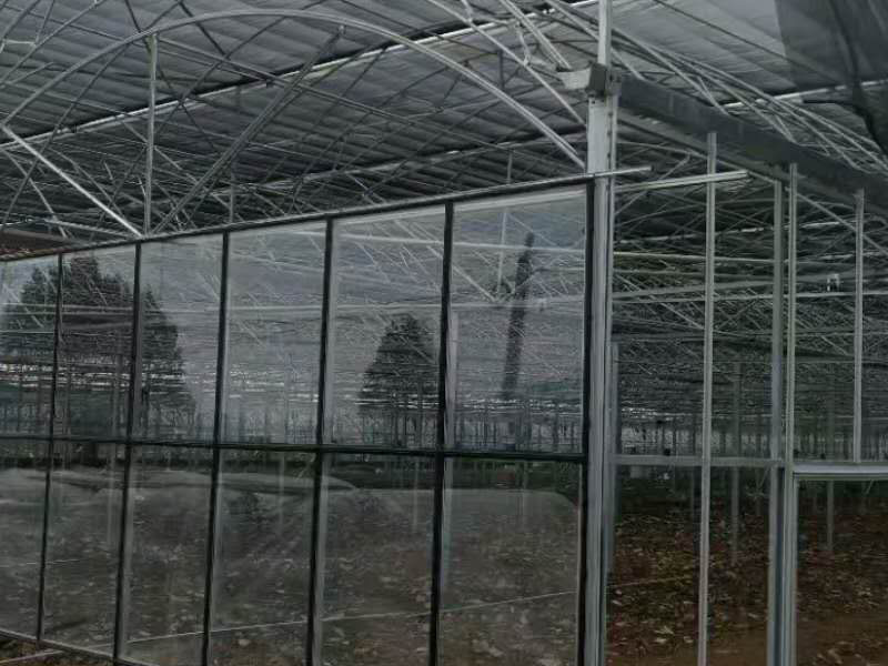 連棟大棚骨架