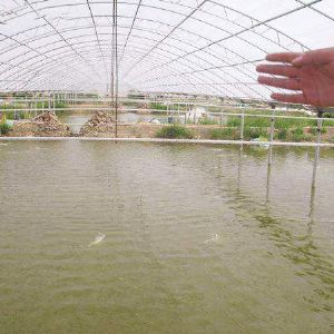 溫室養(yǎng)殖大棚