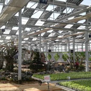 光伏溫室大棚