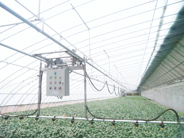 自動(dòng)噴淋系統(tǒng)