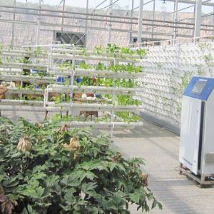 溫室水肥一體化