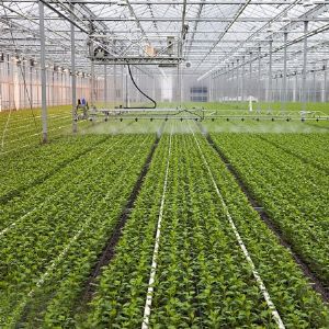 自動(dòng)噴淋系統(tǒng)