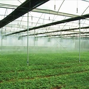 自動(dòng)噴淋系統(tǒng)