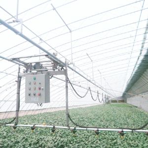 自動(dòng)噴淋系統(tǒng)