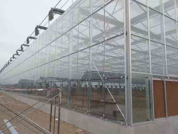 紋絡(luò)玻璃溫室