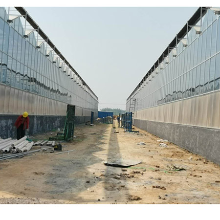 濰坊壽光紋絡溫室 (4).jpg