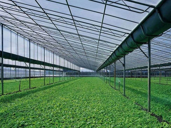 src=http _rs.paishanglai.net_upload_admin_20200930_16014153993181.jpg&refer=http _rs.paishanglai.net&app=2002&size=f9999,10000&q=a80&n=0&g=0n&fmt=jpeg.jpg